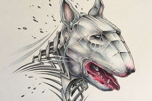 Бултериерите са много интересни кучета, имат отлично атлетично телосложение, доста издръжливи, много активни и интелигентни.