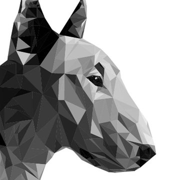 Бултериерите са много интересни кучета, имат отлично атлетично телосложение, доста издръжливи, много активни и интелигентни.