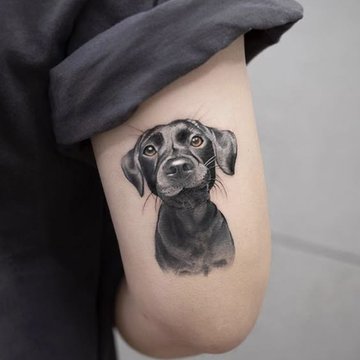 татуировки с кучета